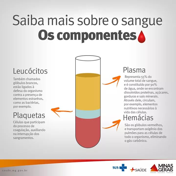 COMPONENTES DO SANGUE